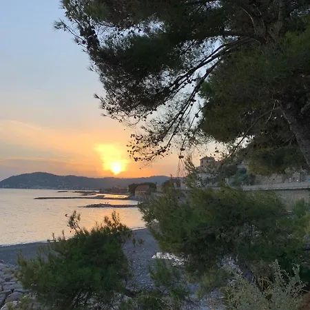 Bellissima * Cervo